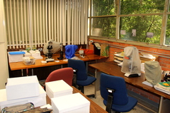 Psilocybe mescaleroensis