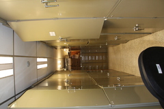 Psilocybe gallaeciae