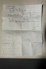 Psilocybe subaeruginascens