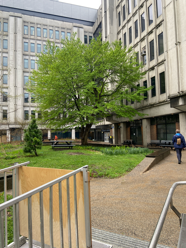 The McGill Katsura