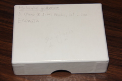 Psilocybe gallaeciae