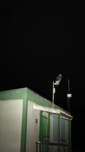 View observation of {o.common_name} on iNaturalist