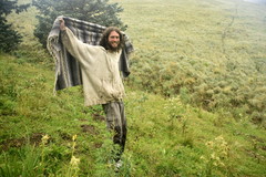 Psilocybe mescaleroensis