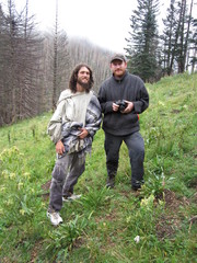 Psilocybe mescaleroensis