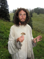 Psilocybe mescaleroensis