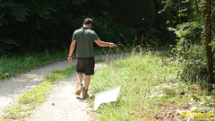 Haemaphysalis longicornis