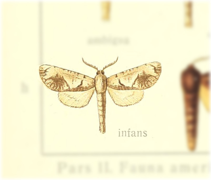 Uretiana