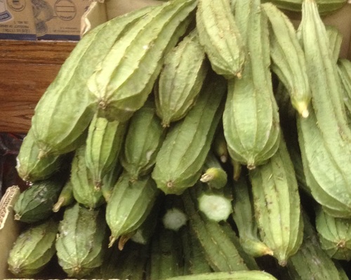 Luffa acutangula
