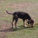 Photograph of 593826