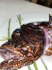 Lionfish