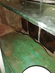 Leptodeira nigrofasciata