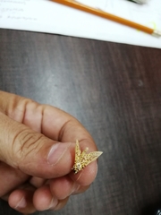 Polygrammodes eleuata