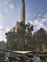 Eucalyptus