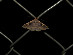 Azeta