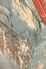 Phyllodactylus nocticolus