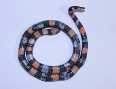 Atractus elaps