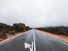 Breviceps namaquensis