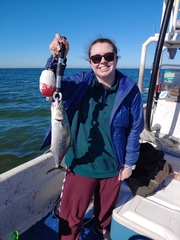 Scomberomorus maculatus