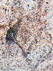 Heliastus sumichrasti