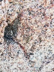 Heliastus sumichrasti