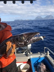 Black Snoek photo 3