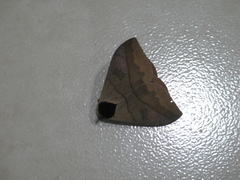 Automeris liberia