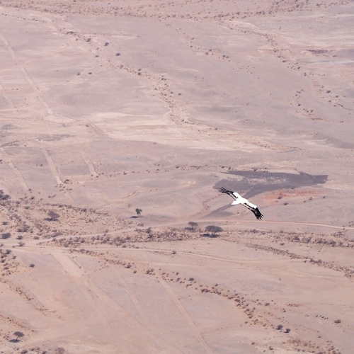 (c) JR Ferrer-Paris, some rights reserved (CC BY)