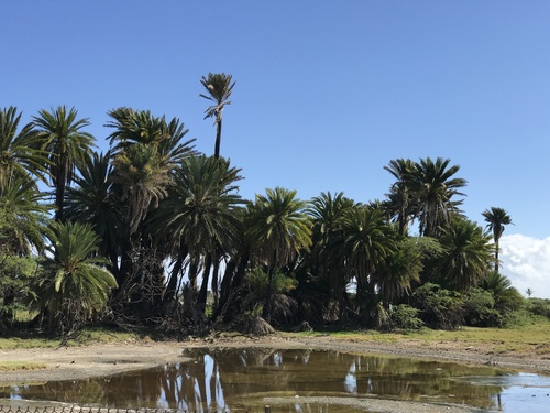 Phoenix observed 2019-07-13