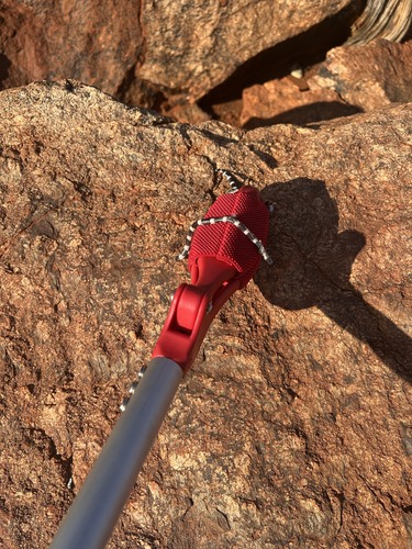 Pilbara Bandy Bandy