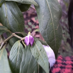 © MANUEL GOMEZ, some rights reserved (CC-BY-NC)