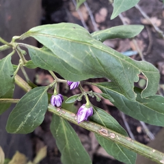 © MANUEL GOMEZ, some rights reserved (CC-BY-NC)