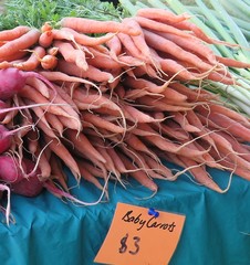 Daucus carota sativus