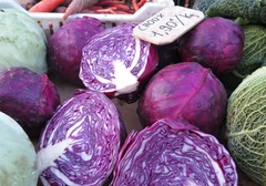 Brassica oleracea capitata