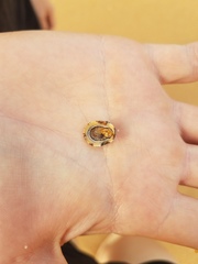 Patelloida latistrigata