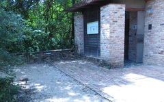 Sylvilagus aquaticus