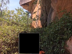 Gynochthodes ammitia