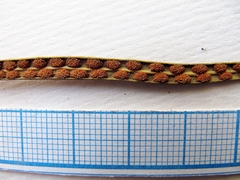 Lepisorus ussuriensis