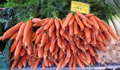 Daucus carota sativus