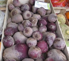 Beta vulgaris vulgaris