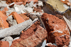 Liolaemus wiegmannii