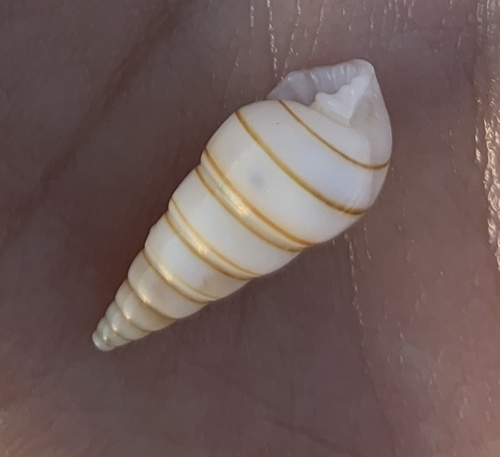 Giant Atlantic Pyram