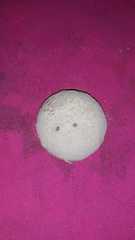 Penicillium italicum