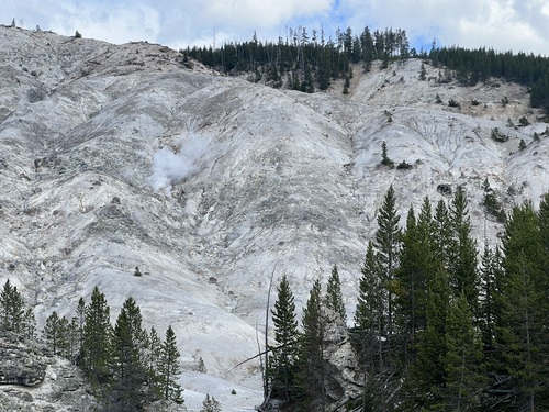 Arkea sumber air panas (Sulfolobus acidocaldarius)