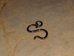 Bicoloured Blind-Snake photo 2