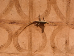 Reptilia