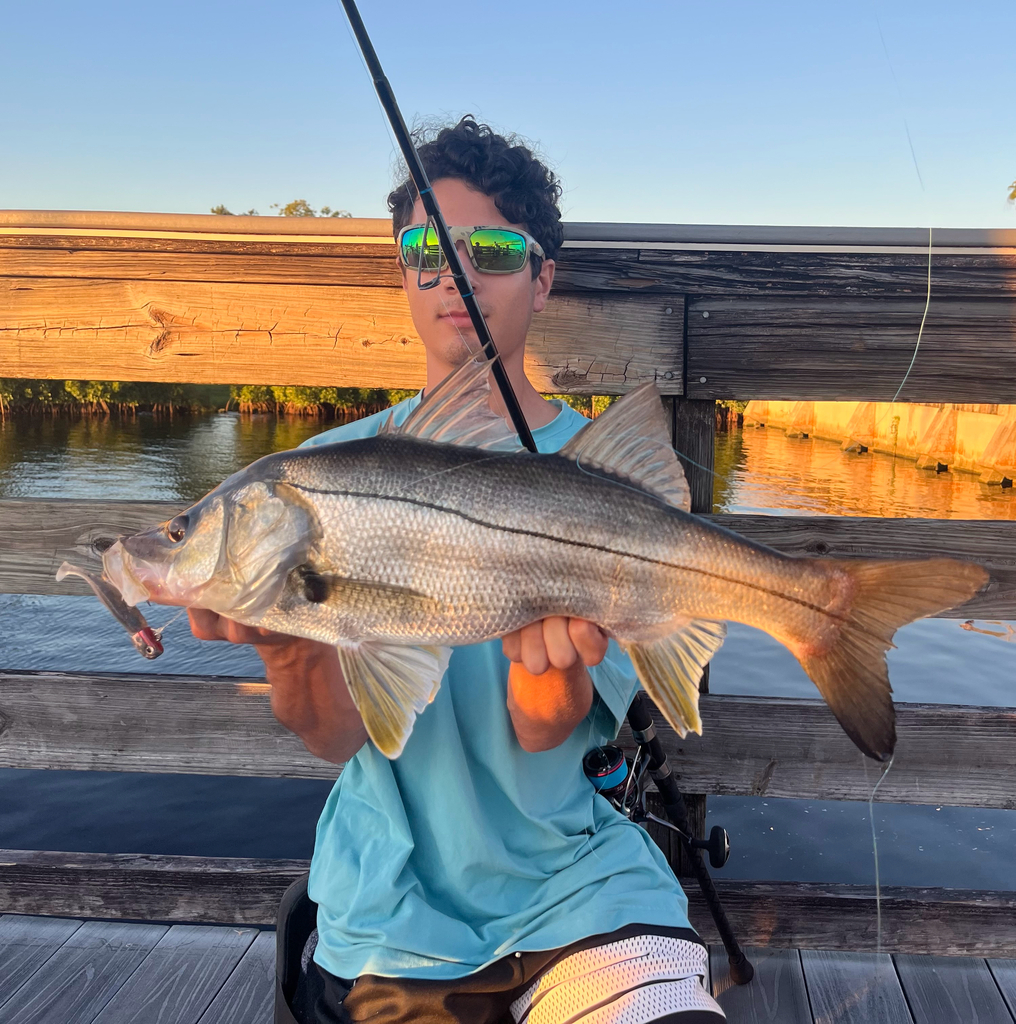 Smallscale Fat Snook from Fort Myers, FL, US on October 29, 2025 at 06: ...