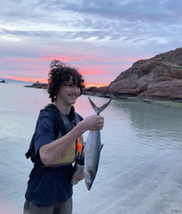 Scomberomorus sierra