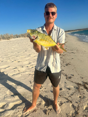 Golden Trevally