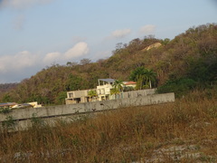 Columbina talpacoti