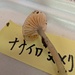 ナナイロヌメリタケ